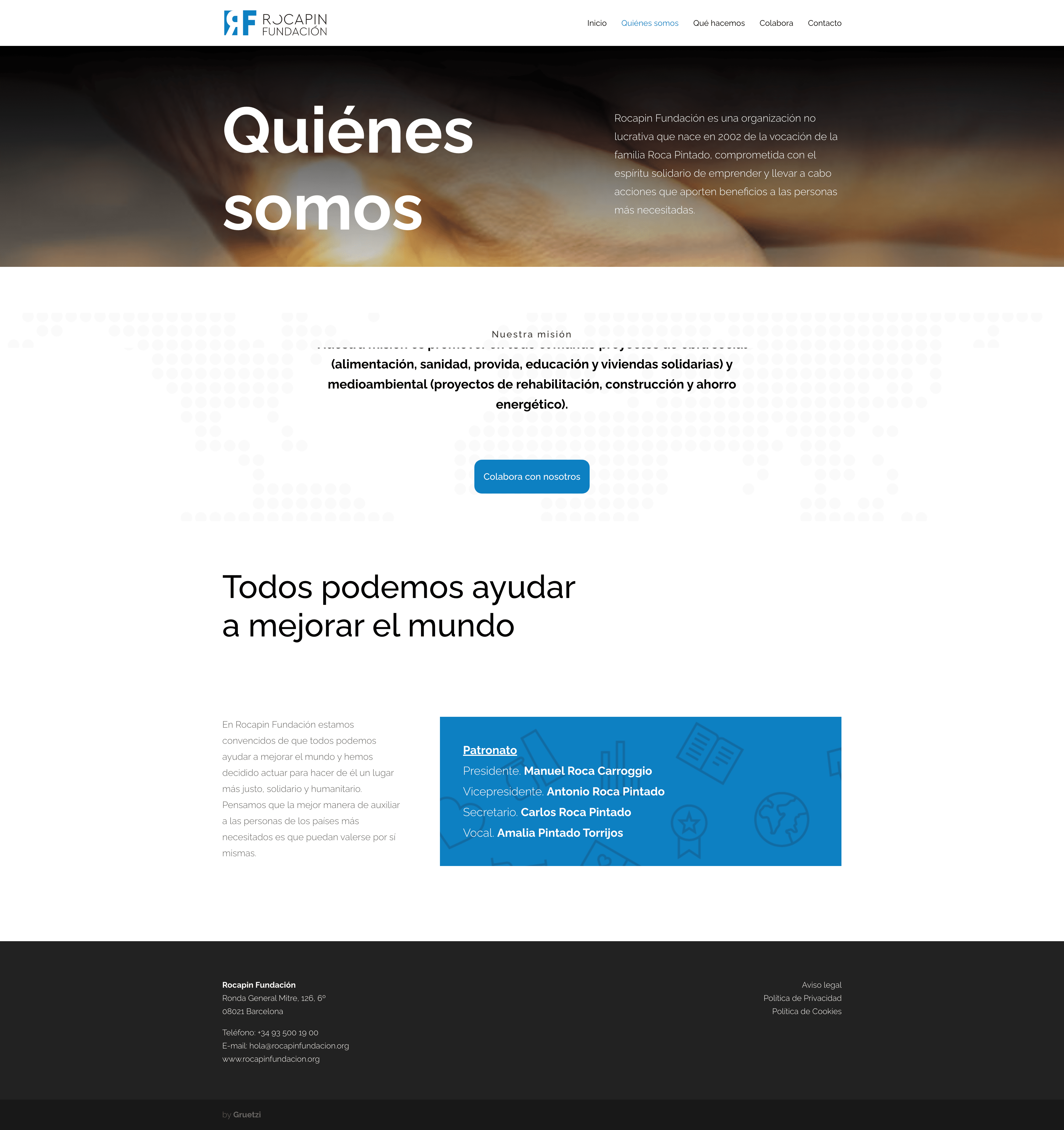 disenadores-web-barcelona-seo-rocapin-fundacion-gruetzi