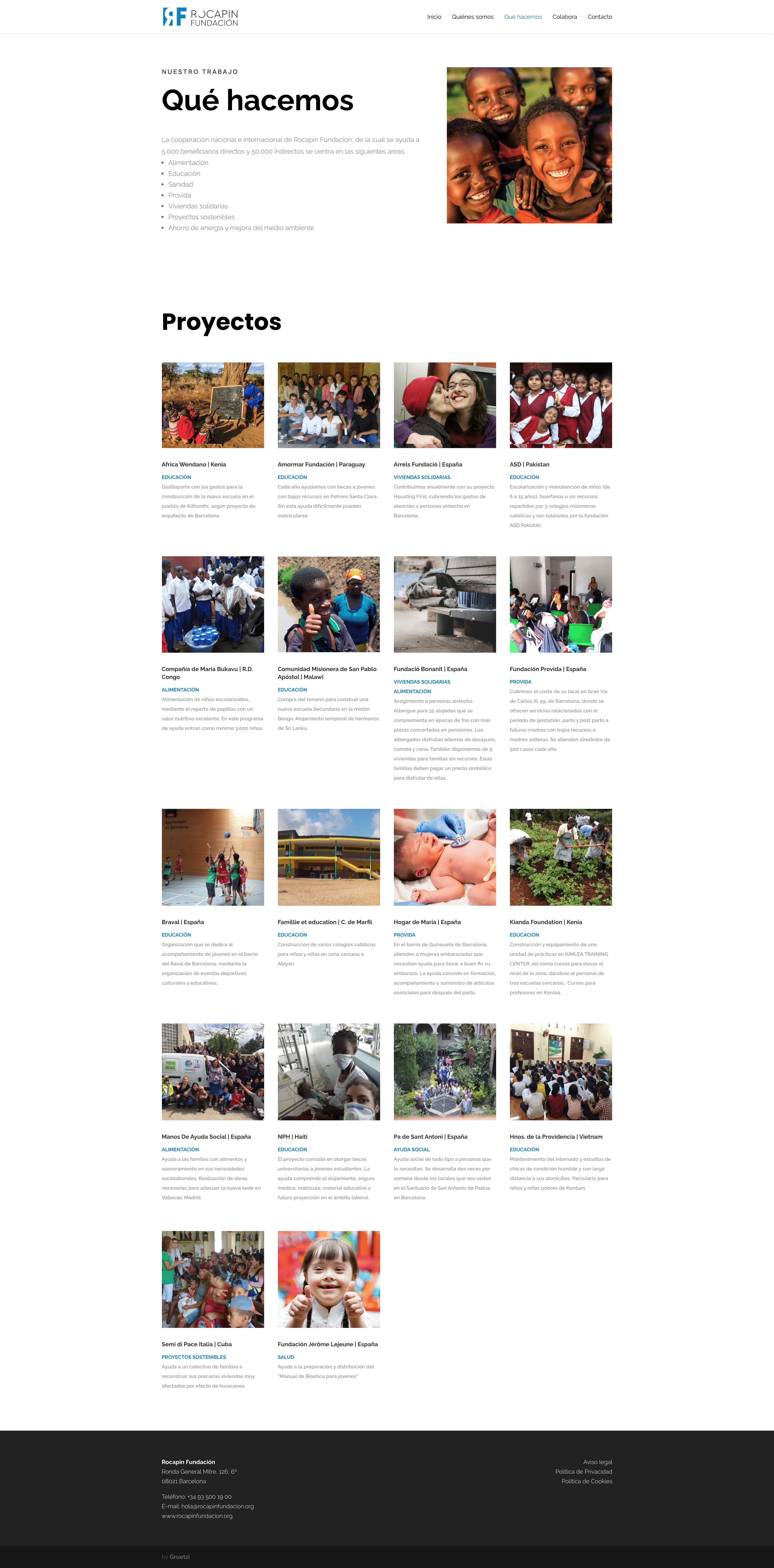 disenadores-web-barcelona-seo-rocapin-fundacion-gruetzi